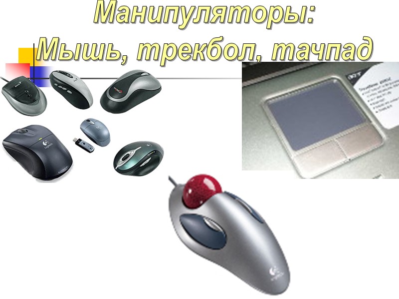 Манипуляторы: Мышь, трекбол, тачпад